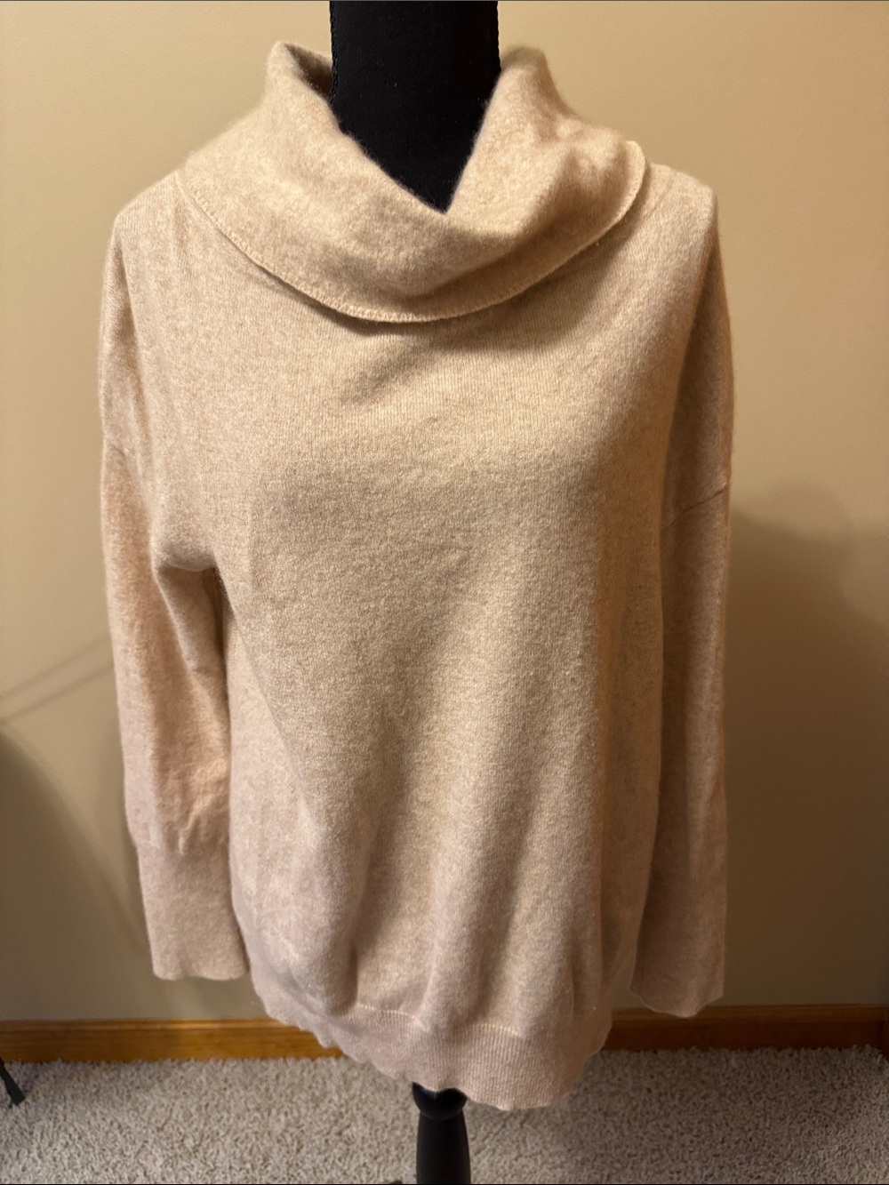 Cozy Cream Cowl Neck Sweater